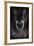 Ulysses-P R I-Framed Photographic Print