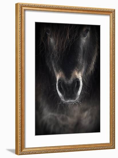 Ulysses-P R I-Framed Photographic Print