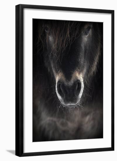 Ulysses-P R I-Framed Photographic Print