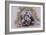 Um-M-M-Barbara Keith-Framed Giclee Print