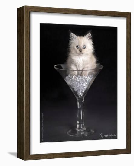 Uma-Rachael Hale-Framed Art Print