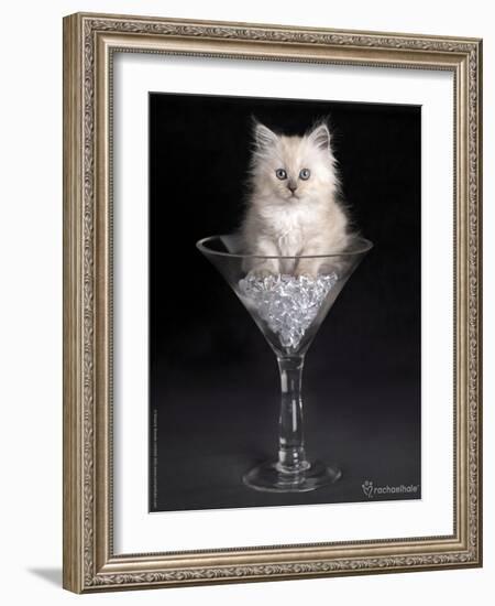 Uma-Rachael Hale-Framed Photographic Print