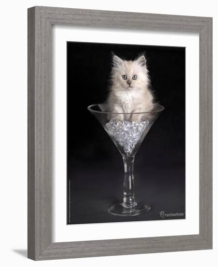 Uma-Rachael Hale-Framed Photographic Print