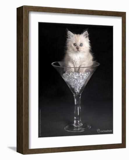 Uma-Rachael Hale-Framed Photographic Print