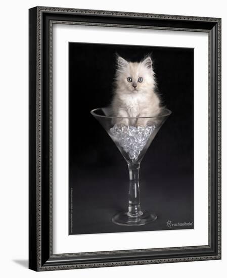 Uma-Rachael Hale-Framed Photographic Print