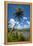 Umatac Bay, Guam, Us Territory, Central Pacific-Michael Runkel-Framed Premier Image Canvas