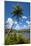 Umatac Bay, Guam, Us Territory, Central Pacific-Michael Runkel-Mounted Photographic Print
