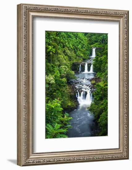 Umauma Falls along the lush Hamakua Coast, The Big Island, Hawaii, USA-Russ Bishop-Framed Photographic Print