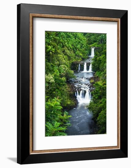 Umauma Falls along the lush Hamakua Coast, The Big Island, Hawaii, USA-Russ Bishop-Framed Photographic Print