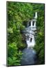 Umauma Falls along the lush Hamakua Coast, The Big Island, Hawaii, USA-Russ Bishop-Mounted Photographic Print