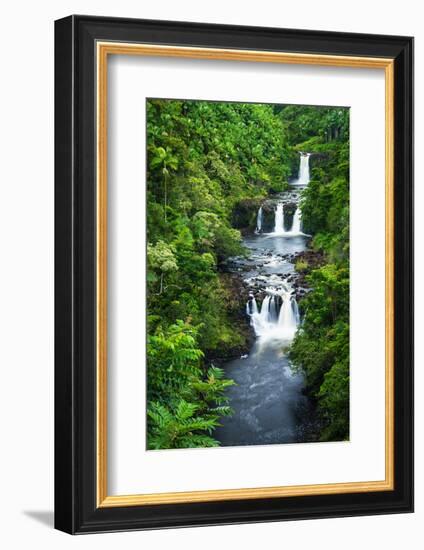 Umauma Falls along the lush Hamakua Coast, The Big Island, Hawaii, USA-Russ Bishop-Framed Photographic Print