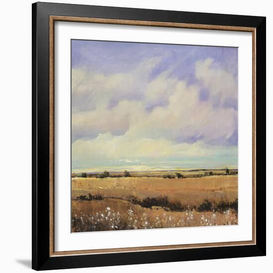 Umber Fields I-Tim O'toole-Framed Giclee Print