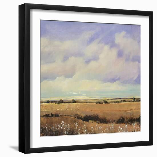 Umber Fields I-Tim O'toole-Framed Giclee Print