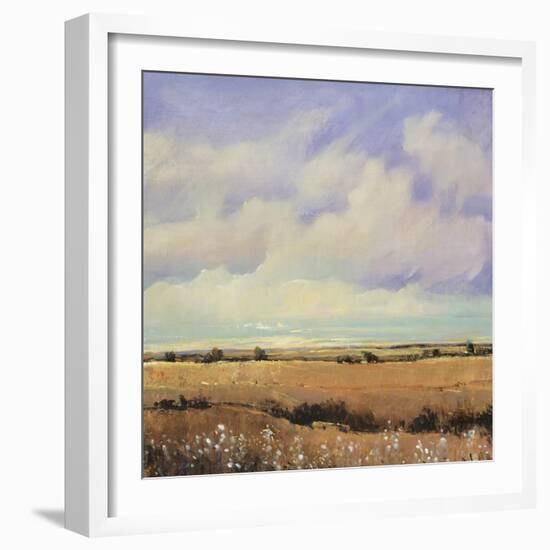 Umber Fields I-Tim O'toole-Framed Giclee Print