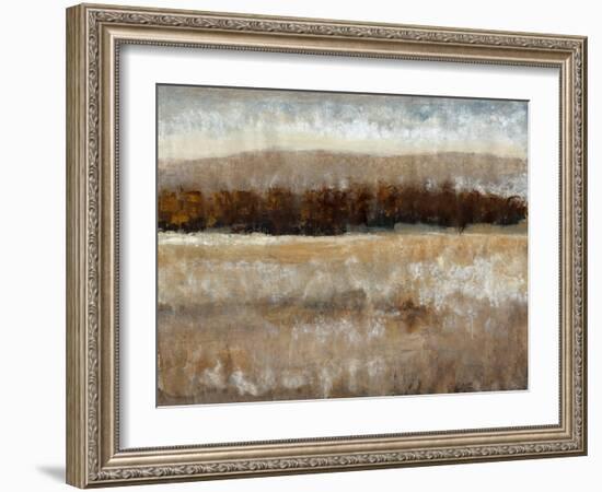 Umber Light II-Tim OToole-Framed Art Print