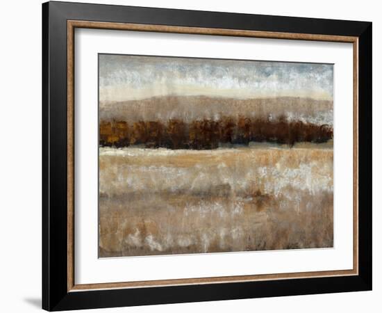 Umber Light II-Tim OToole-Framed Art Print