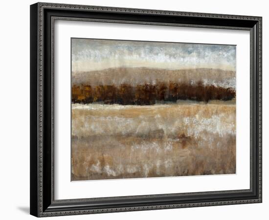 Umber Light II-Tim OToole-Framed Art Print