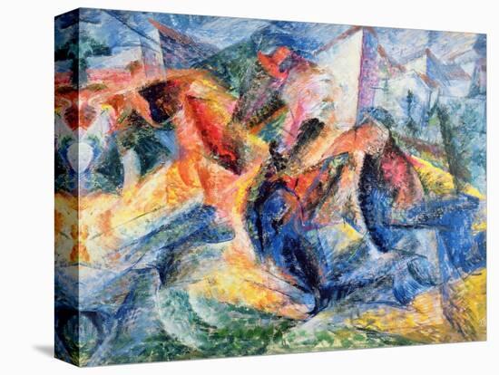 Stretched Canvas Print, , large