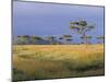 Umbrella Acacia Trees, Masai Mara, Kenya, East Africa, Africa-Robert Harding-Mounted Photographic Print