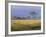 Umbrella Acacia Trees, Masai Mara, Kenya, East Africa, Africa-Robert Harding-Framed Photographic Print