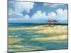 Umbrella Beachscape IV-Paul Brent-Mounted Art Print