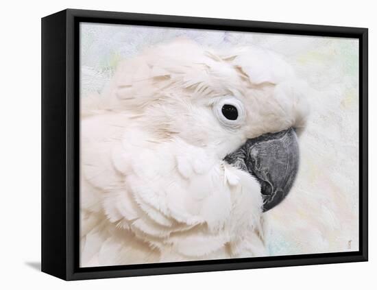 Umbrella Cockatoo Portrait-Jai Johnson-Framed Premier Image Canvas