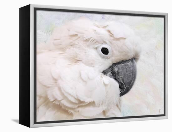 Umbrella Cockatoo Portrait-Jai Johnson-Framed Premier Image Canvas