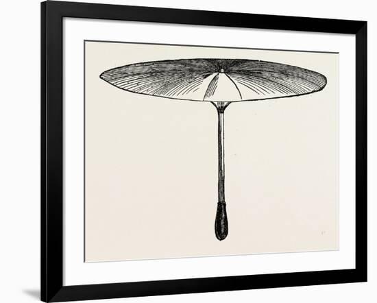 Umbrella for Hawks-null-Framed Giclee Print