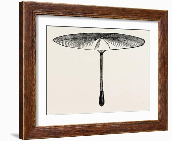 Umbrella for Hawks-null-Framed Giclee Print