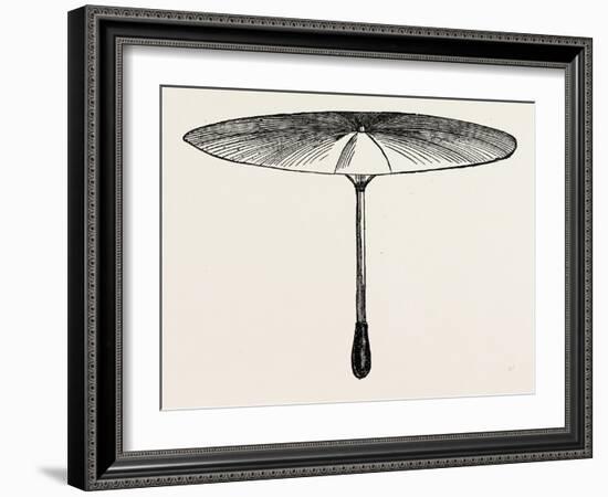 Umbrella for Hawks-null-Framed Giclee Print