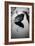 Umbrella in Puddle-Sharon Wish-Framed Photographic Print