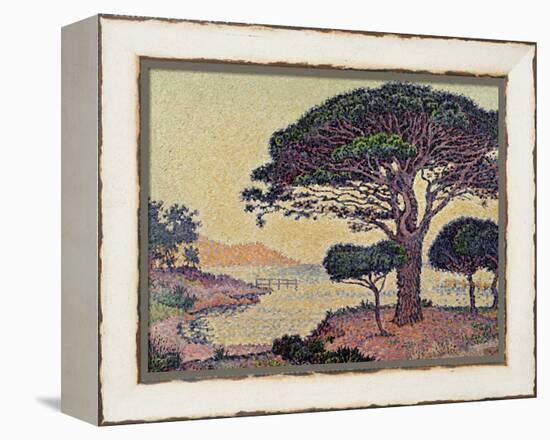Umbrella Pines at Caroubiers, 1898-Paul Signac-Framed Premier Image Canvas