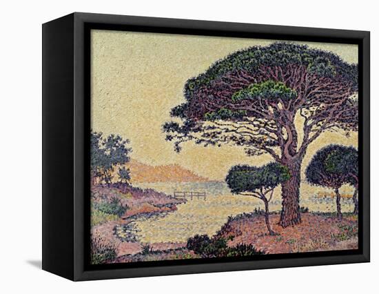 Umbrella Pines at Caroubiers, 1898-Paul Signac-Framed Premier Image Canvas