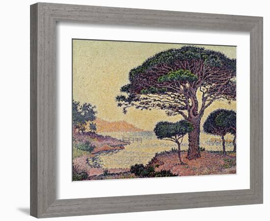 Umbrella Pines at Caroubiers, 1898-Paul Signac-Framed Giclee Print