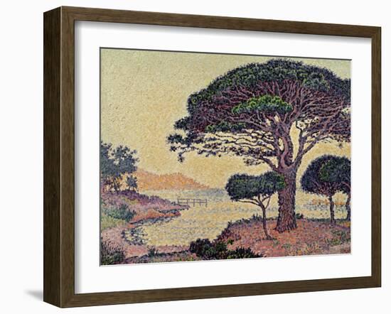 Umbrella Pines at Caroubiers, 1898-Paul Signac-Framed Giclee Print