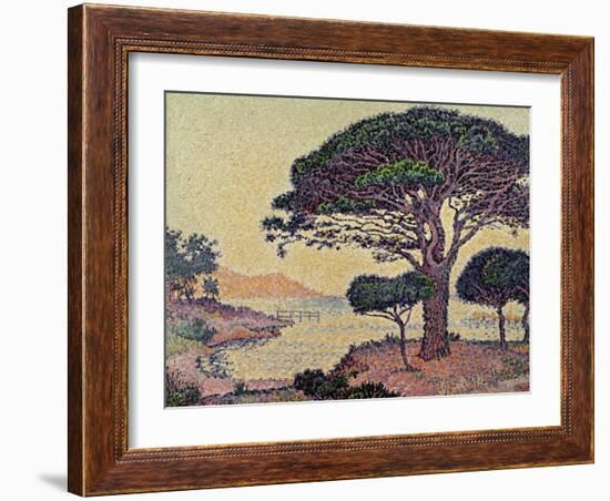 Umbrella Pines at Caroubiers, 1898-Paul Signac-Framed Giclee Print