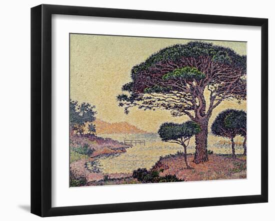 Umbrella Pines at Caroubiers, 1898-Paul Signac-Framed Giclee Print