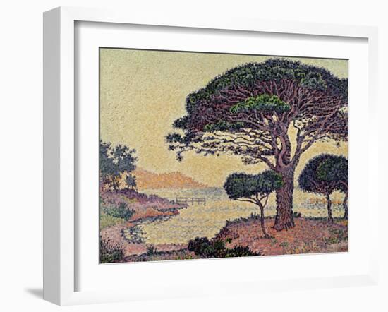 Umbrella Pines at Caroubiers, 1898-Paul Signac-Framed Giclee Print