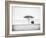 UMBRELLA THORN-Jaco Marx-Framed Photographic Print