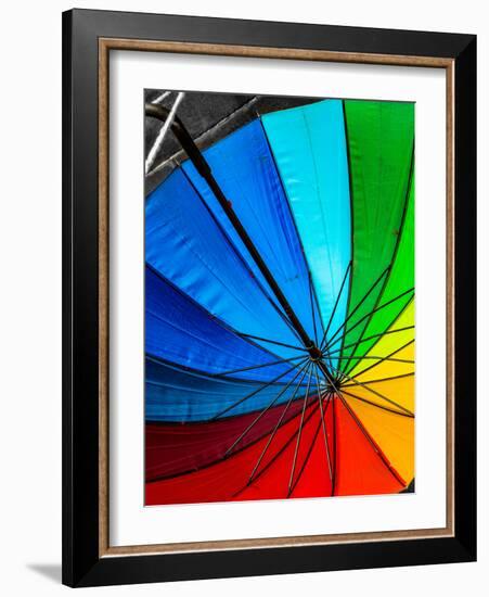 Umbrella-Steven Maxx-Framed Photographic Print