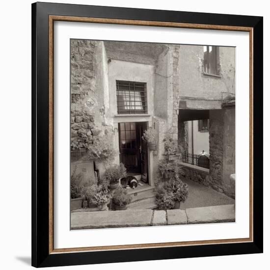 Umbria #28-Alan Blaustein-Framed Photographic Print