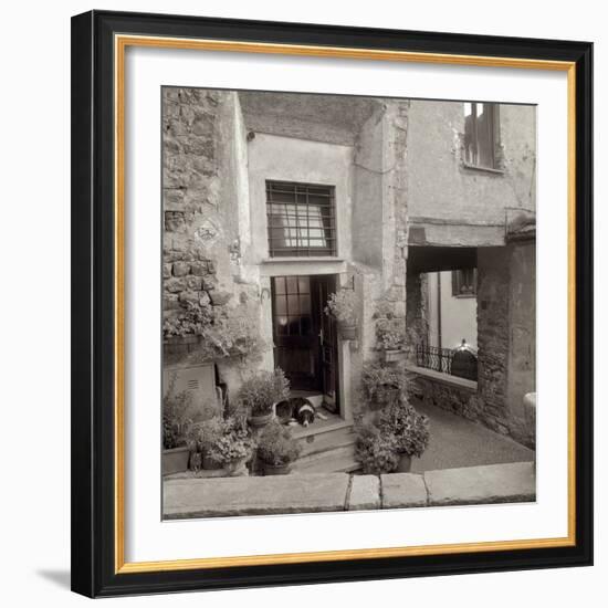 Umbria #28-Alan Blaustein-Framed Photographic Print