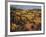 Umbria Panorama-S^ Hinus-Framed Art Print