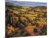 Umbria Panorama-S^ Hinus-Mounted Art Print