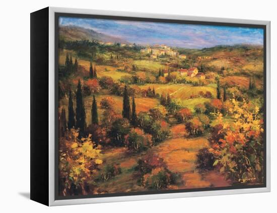 Umbria Panorama-S. Hinus-Framed Stretched Canvas