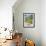 Umbrian Chair-Ditz-Framed Giclee Print displayed on a wall