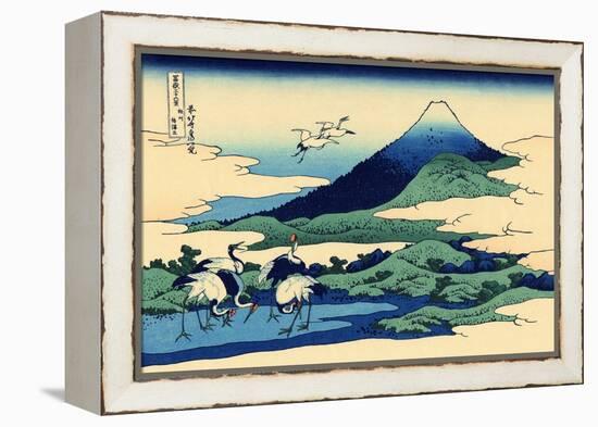 Umegawa in Sagami Province, c.1830-Katsushika Hokusai-Framed Premier Image Canvas