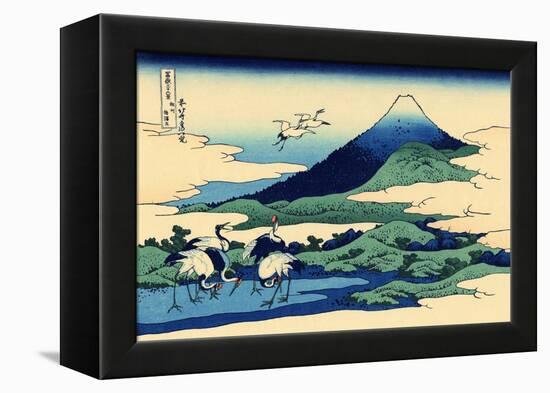 Umegawa in Sagami Province, c.1830-Katsushika Hokusai-Framed Premier Image Canvas