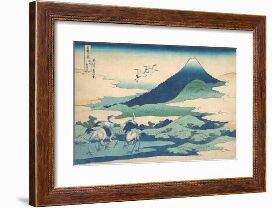 Umezawa Manor in Sagami Province-Katsushika Hokusai-Framed Premium Giclee Print