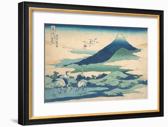 Umezawa Manor in Sagami Province-Katsushika Hokusai-Framed Premium Giclee Print